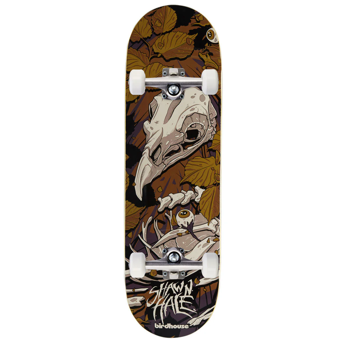Birdhouse Shawn Hale Tillbrook Skateboard Complete - 9.00"