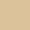 Blank Maple Cruiser Skateboard Deck - 8.00" - Image 3