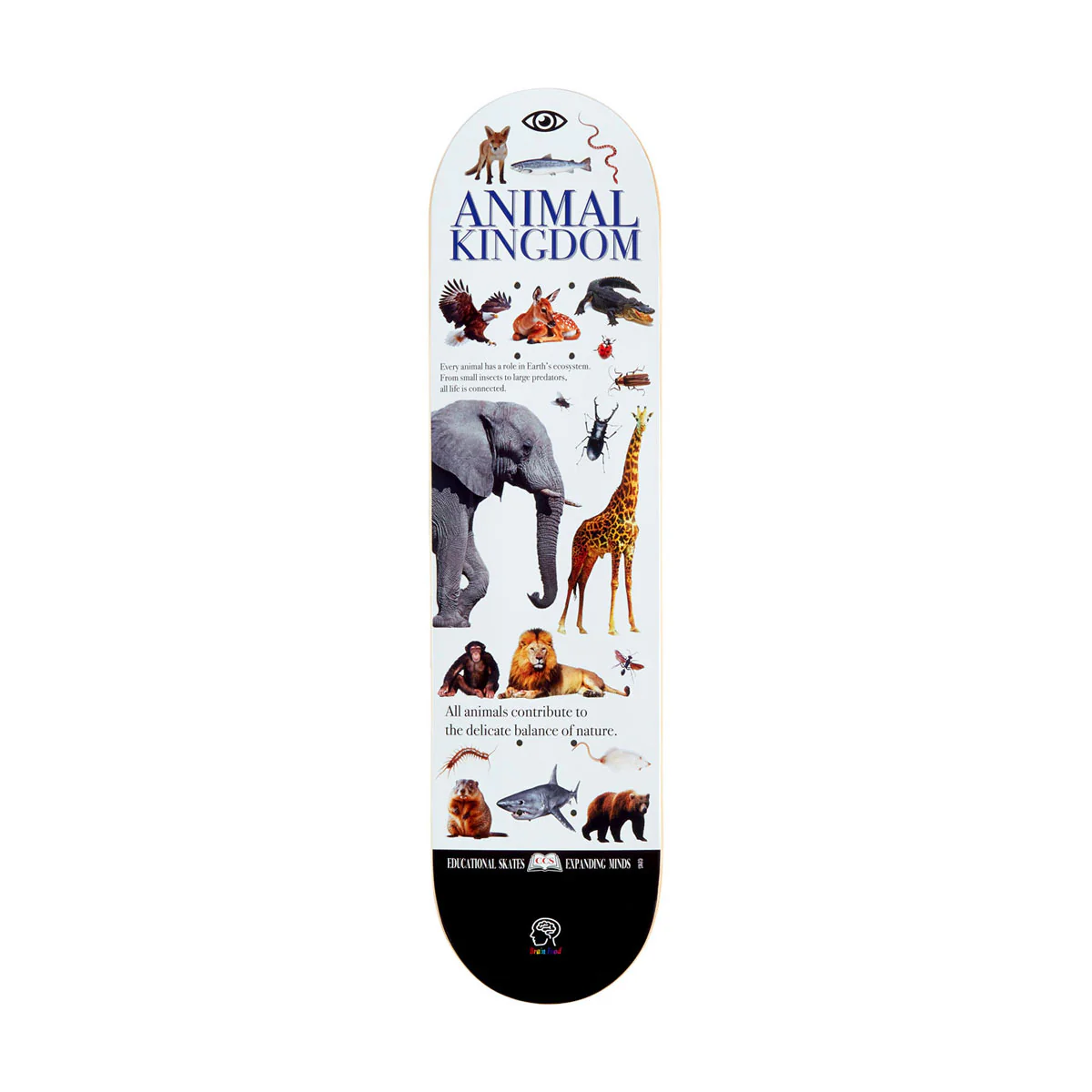 CCS Brain Food Animal Kingdom Mini Skateboard Deck - White