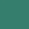 CCS Icon Snapback Hat - Green/Brown - Image 6