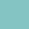 CCS Logo Skateboard Deck - Mint - Image 7