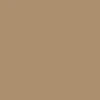 CCS Silver Logo Buckle Belt - Tan - Image 6