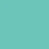 CCS Skateboard Tool - Mint - Image 4