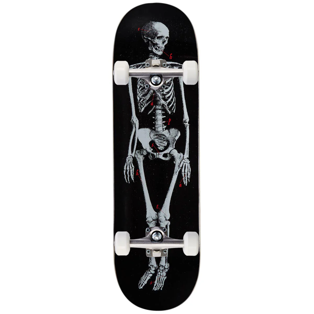 CCS Skeleton Skateboard Complete - Black - 9.00"