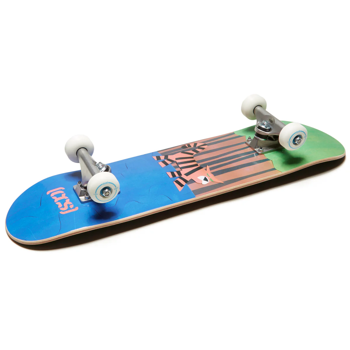 CCS Tiger Mini Skateboard Complete - Image 5