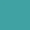 Meow Logo Skateboard Deck - Teal - 7.75" - Image 3